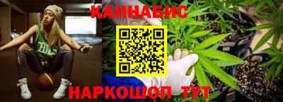 стаф Будённовск