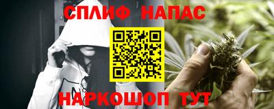 стаф Будённовск