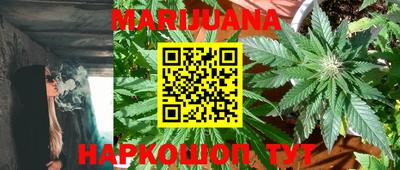 стаф Будённовск