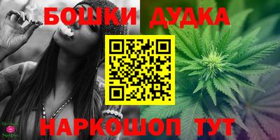 стаф Будённовск