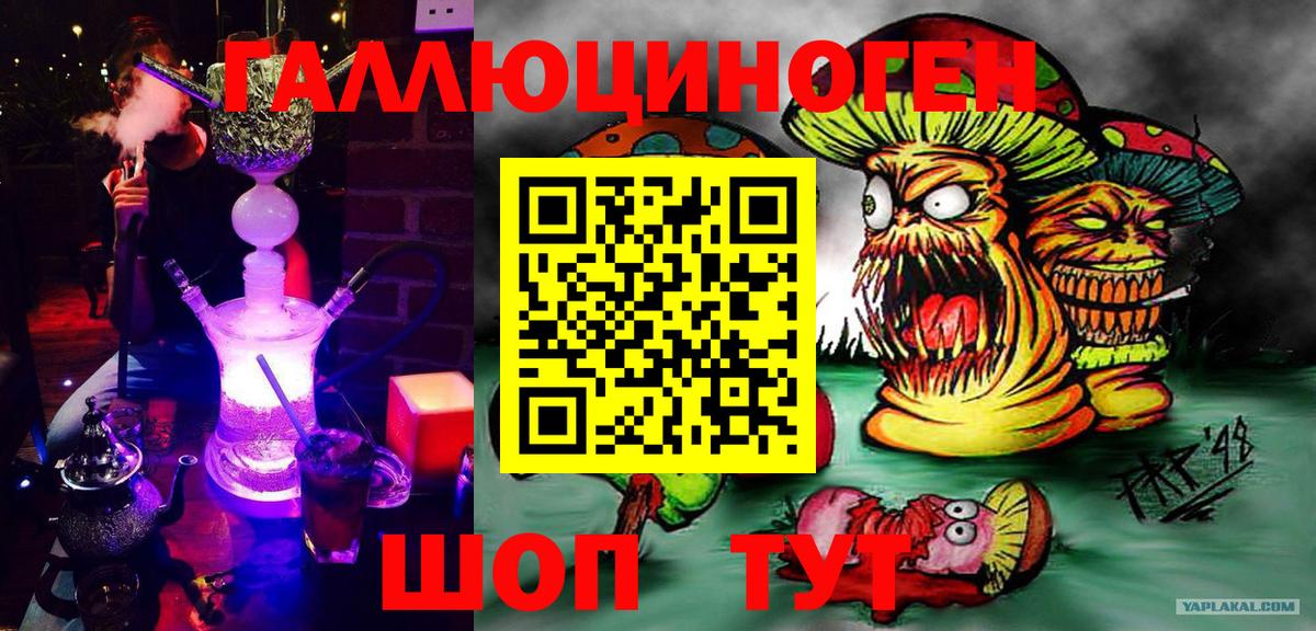Балтийск  Псилоцибиновые грибы Cubensis  Вход с VPN 